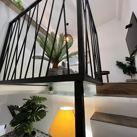 Duplex T3 Climatisé Plein Centre Terrasse Vue Appartement *